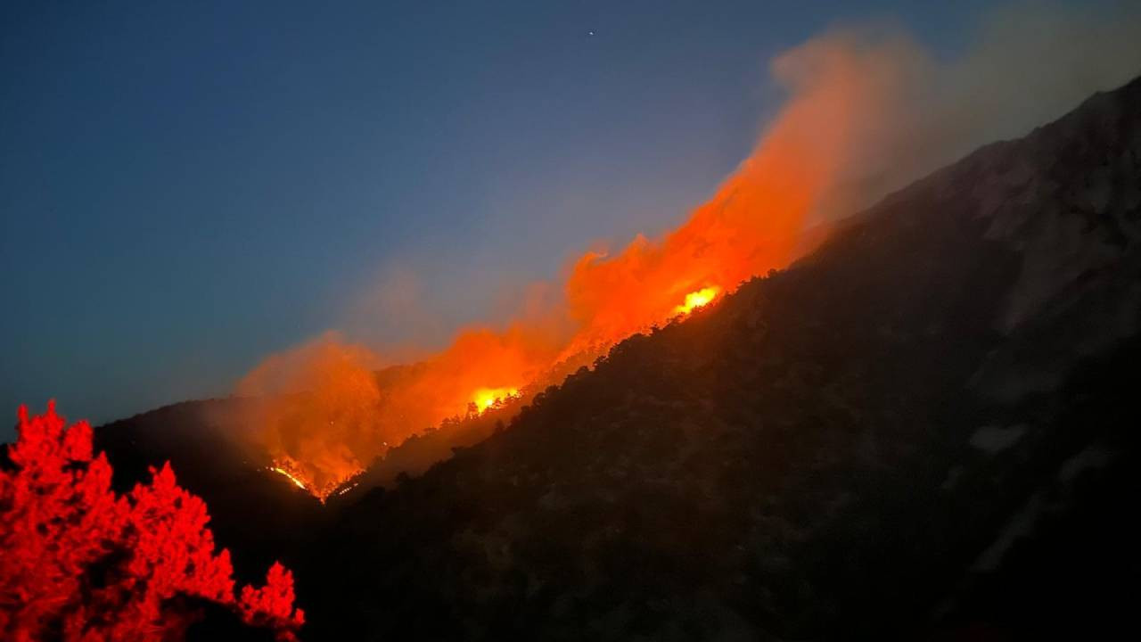 Çorum’daki orman yangınında yaklaşık 30 hektar alan zarar gördü